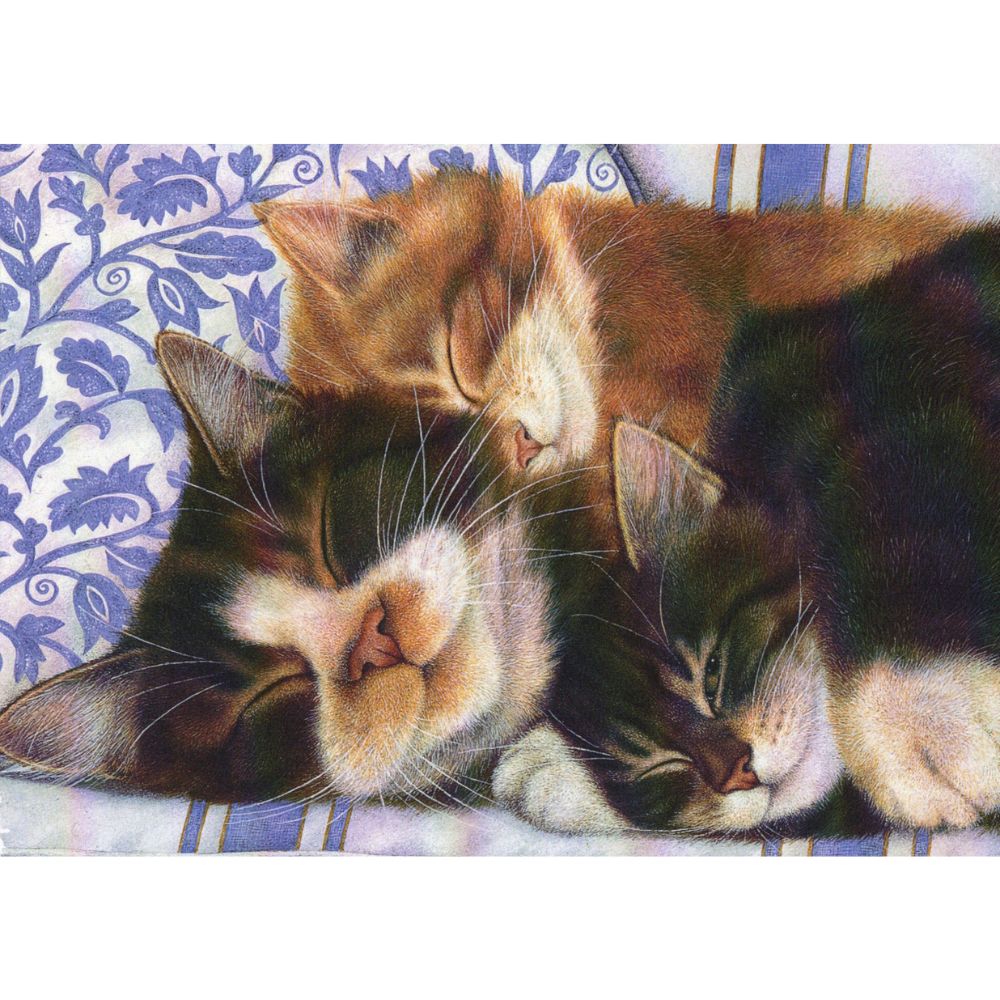 Sleepy Kitties